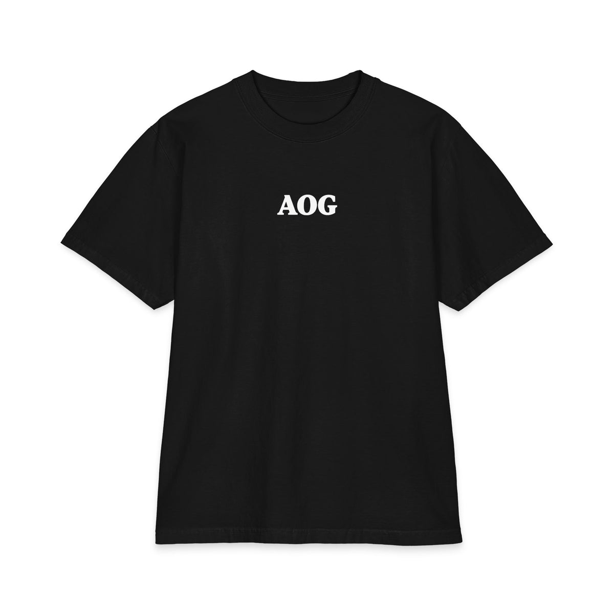 John 3:17 AOG Oversized T