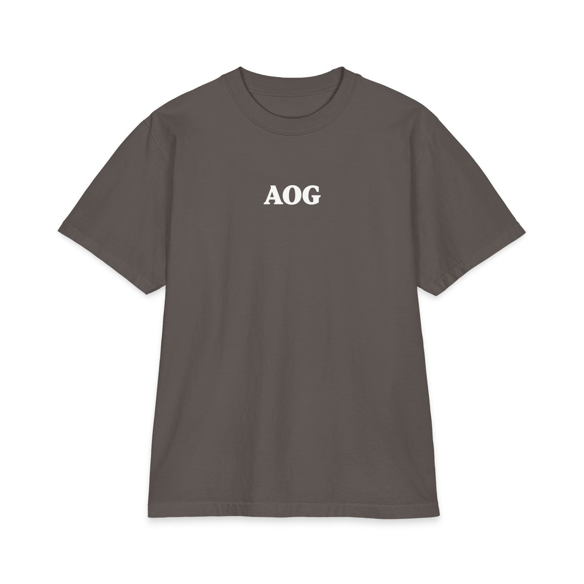 John 3:17 AOG Oversized T