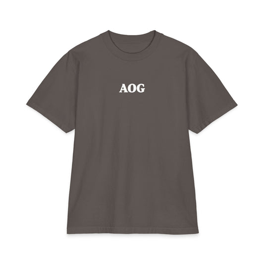 John 3:17 AOG Oversized T